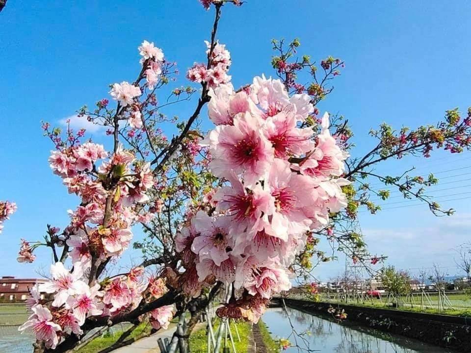 尚閤屋包棟民宿 Wujie Exteriér fotografie